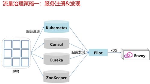 Istio流量治理与监控管理 构建信息处理与存储支持服务的关键支柱