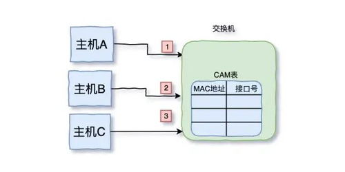 三天两夜肝完这篇万字长文 面试再也不怕被问到TCP/IP了
