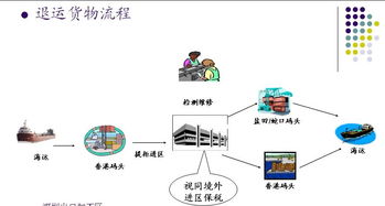 深圳坪山保税区保税仓库出租与信息处理存储支持服务详解